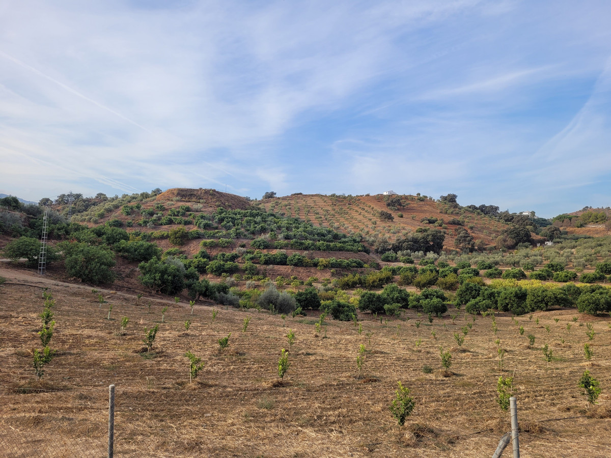 Parcela en venta - South of spain