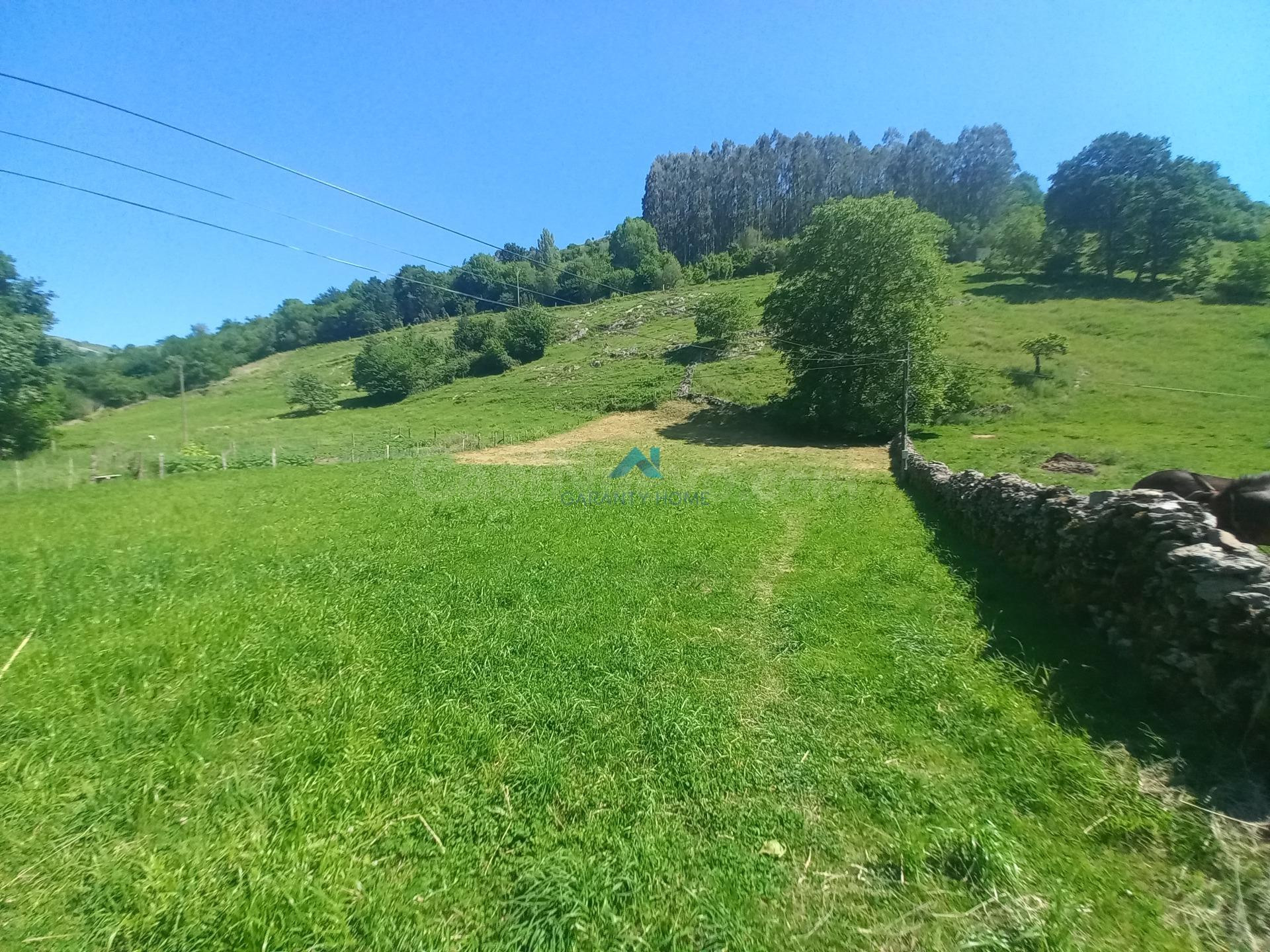 Terreno urbano en venta en Bustablado (Cantabria) – 1.438 m2 para construir la casa que siempre has soñado