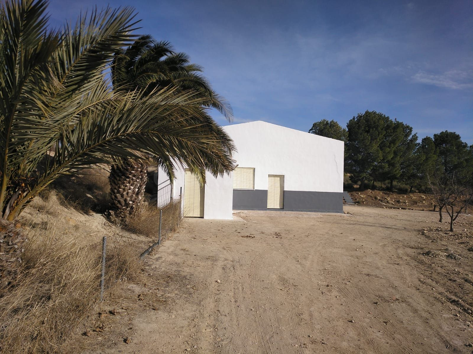 Local comercial en venta - Ayuntamiento