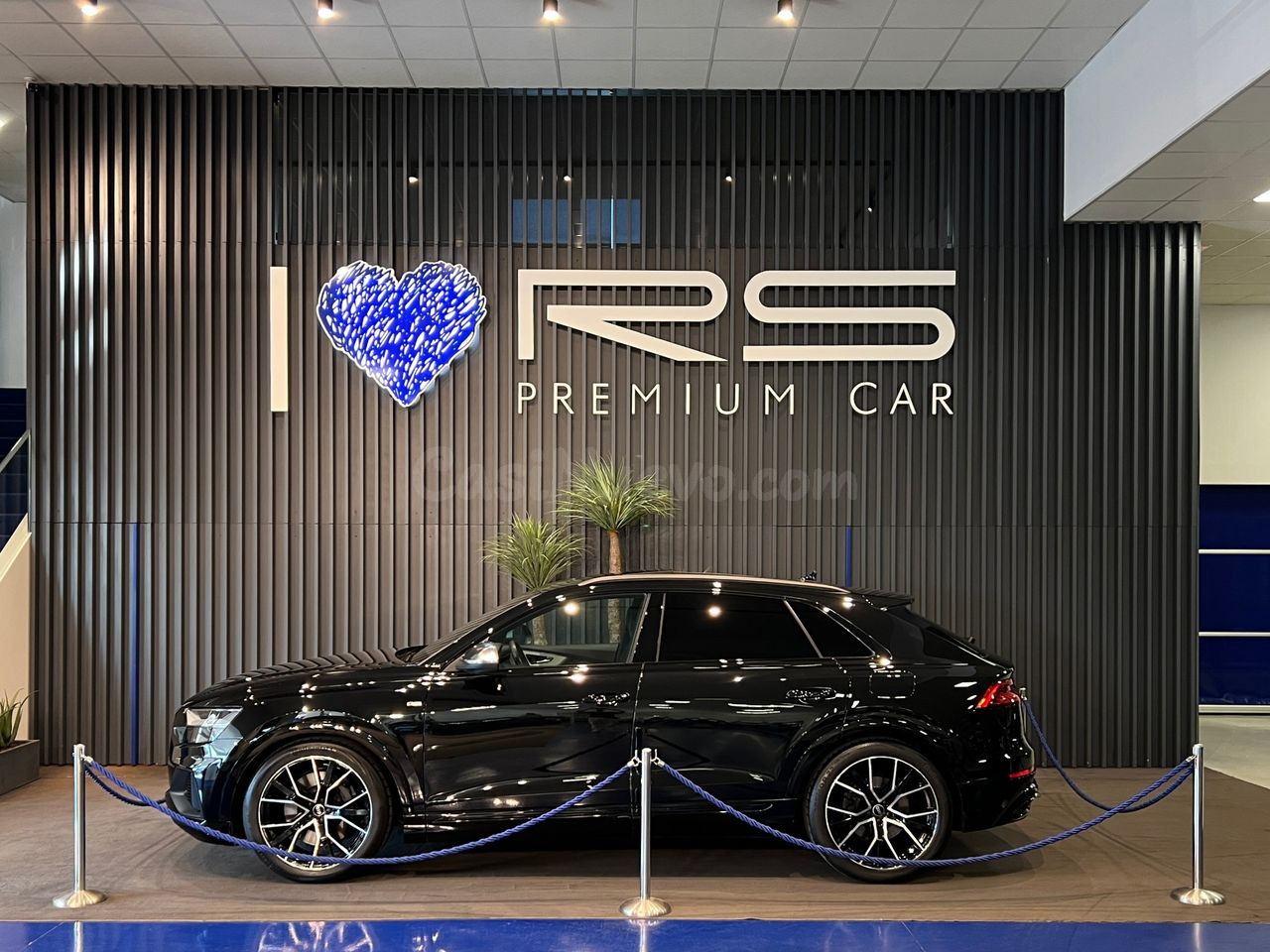 Audi Q8 Black Line 55 TFSIe quattro