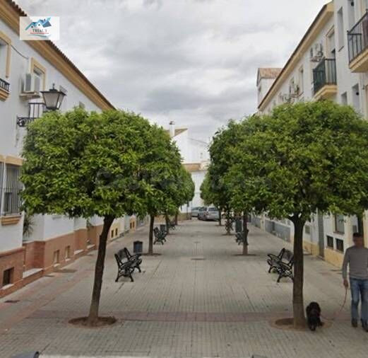 Venta piso en Cartaya (Huelva)