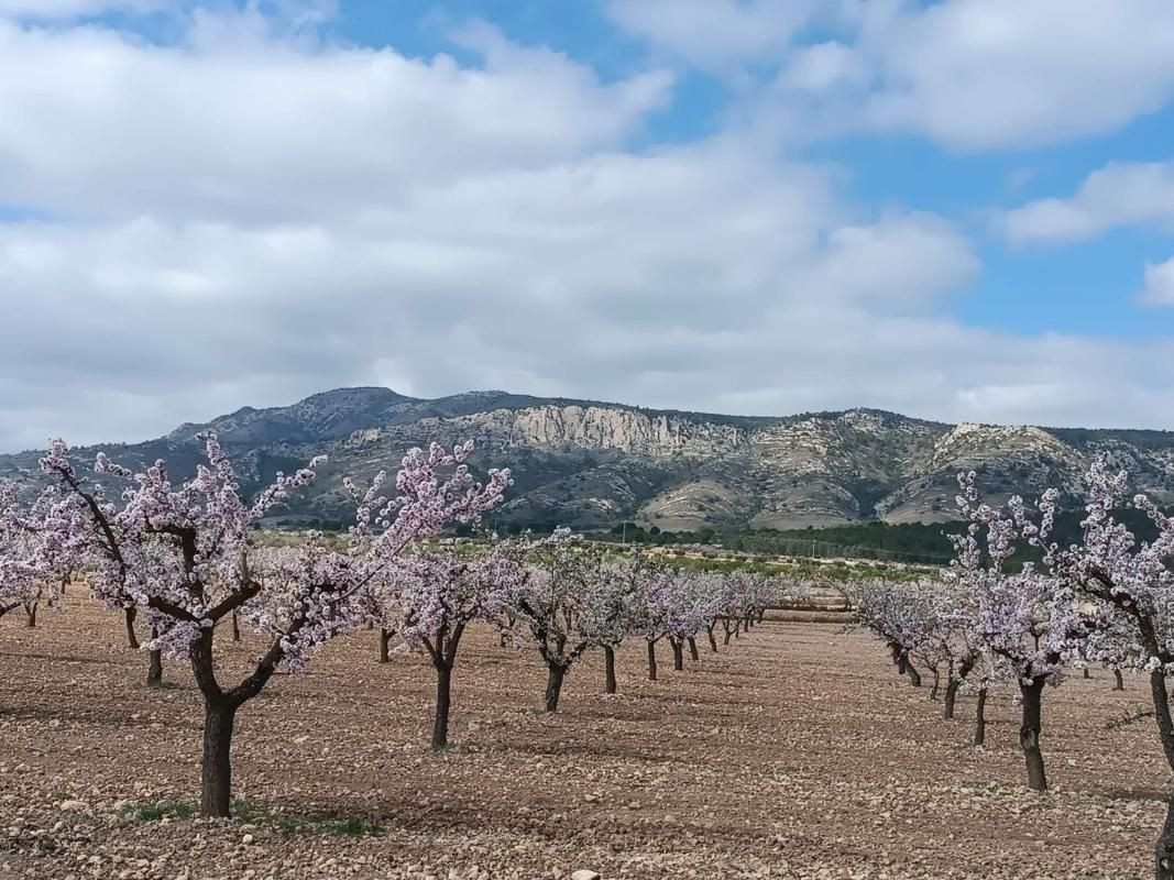 Parcela en venta - Comunidad valenciana