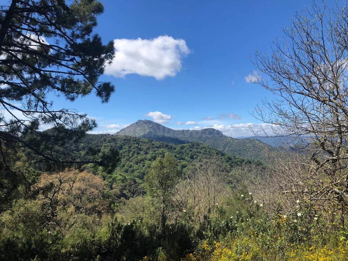 Parcela 1m² en venta - Puerto Sol-Los Almendros-El Tomillar