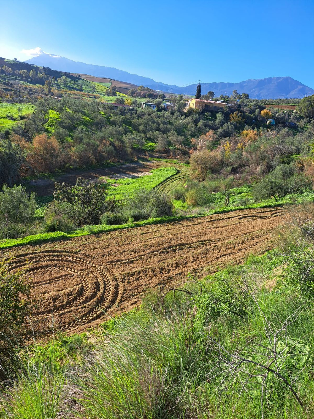 Parcela en venta - Puerto Sol-Los Almendros-El Tomillar