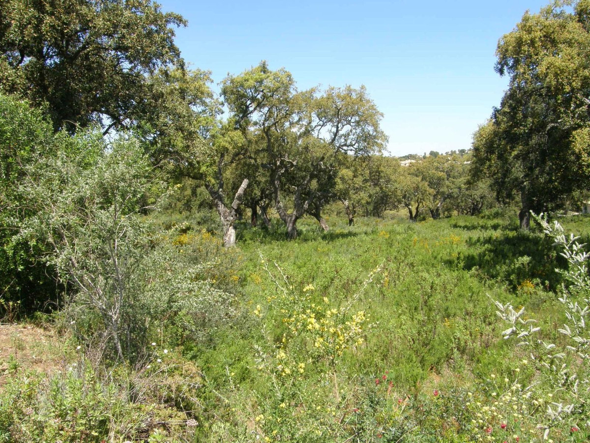 Parcela 426m² en venta - Sotogrande Costa