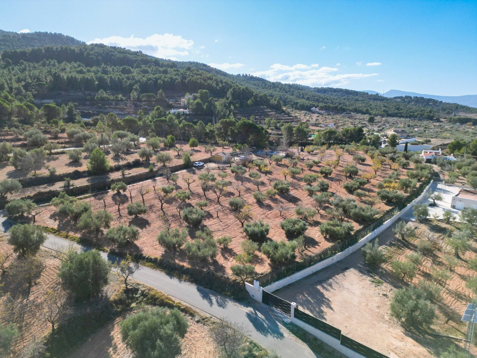 Parcela 1 habitación 62m² en venta - Comunidad valenciana - foto 2