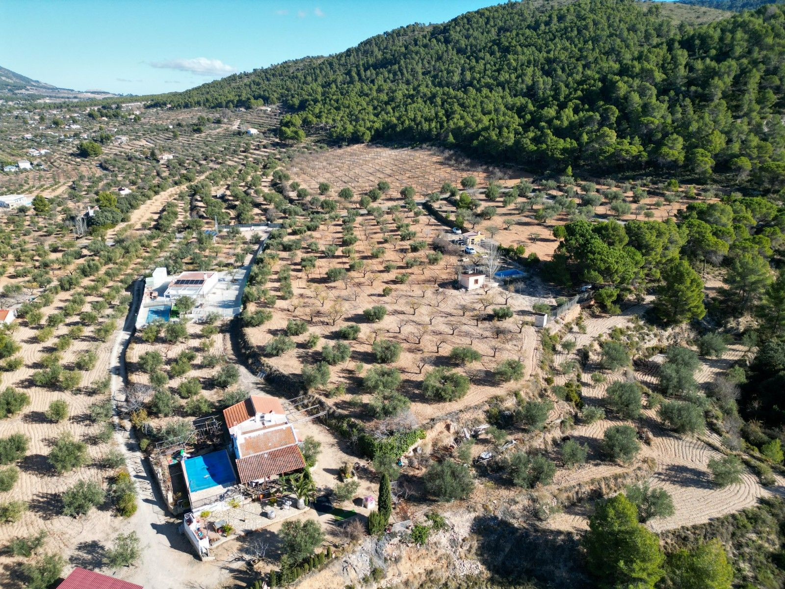 Parcela 1 habitación 62m² en venta - Comunidad valenciana - foto 5