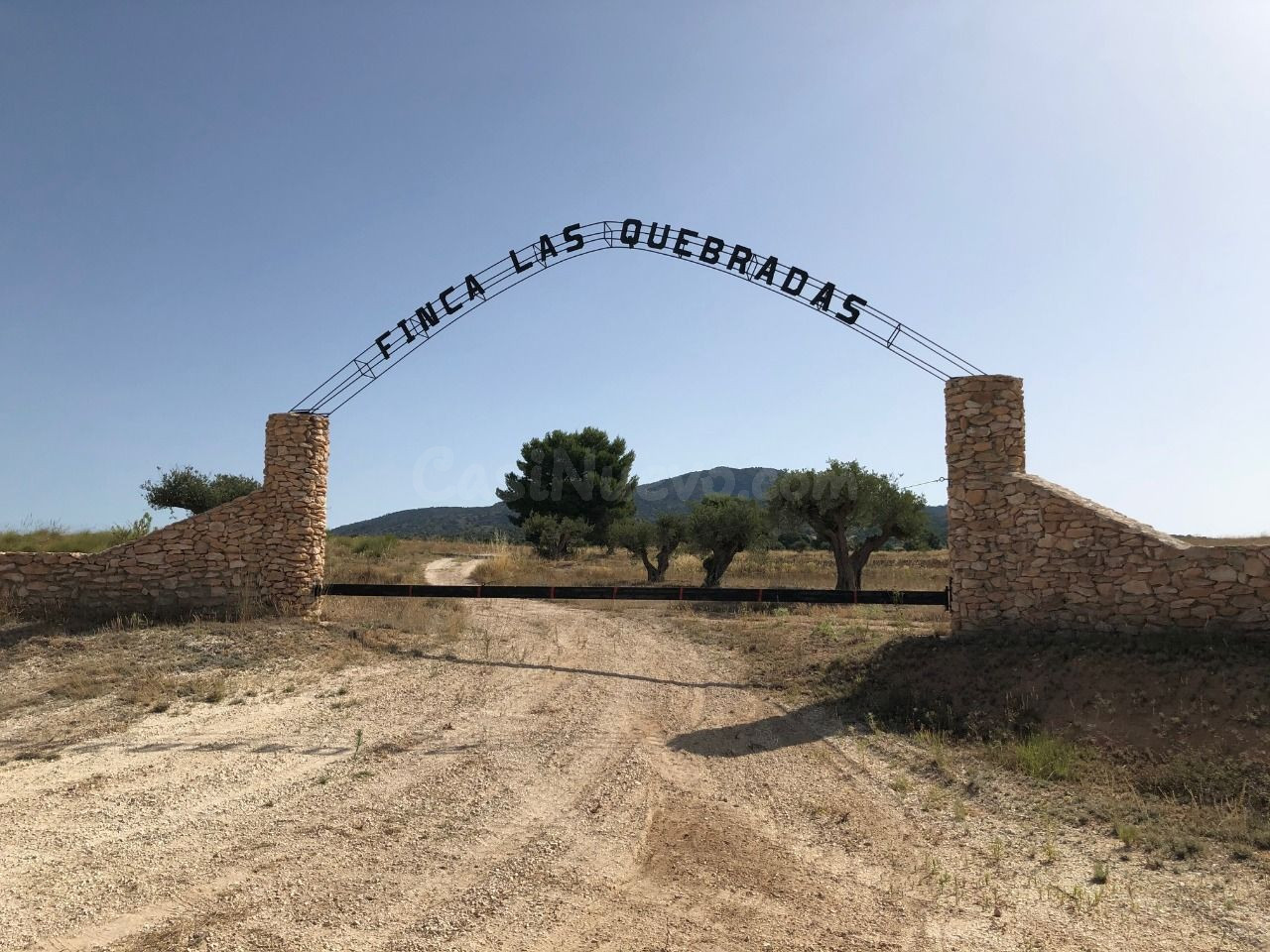 Parcela en venta - Yecla