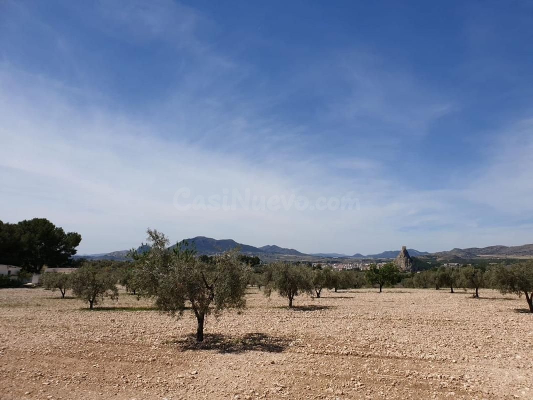 Terreno agrícola con árboles frutales y vistas al castillo en Sax (Alicante)