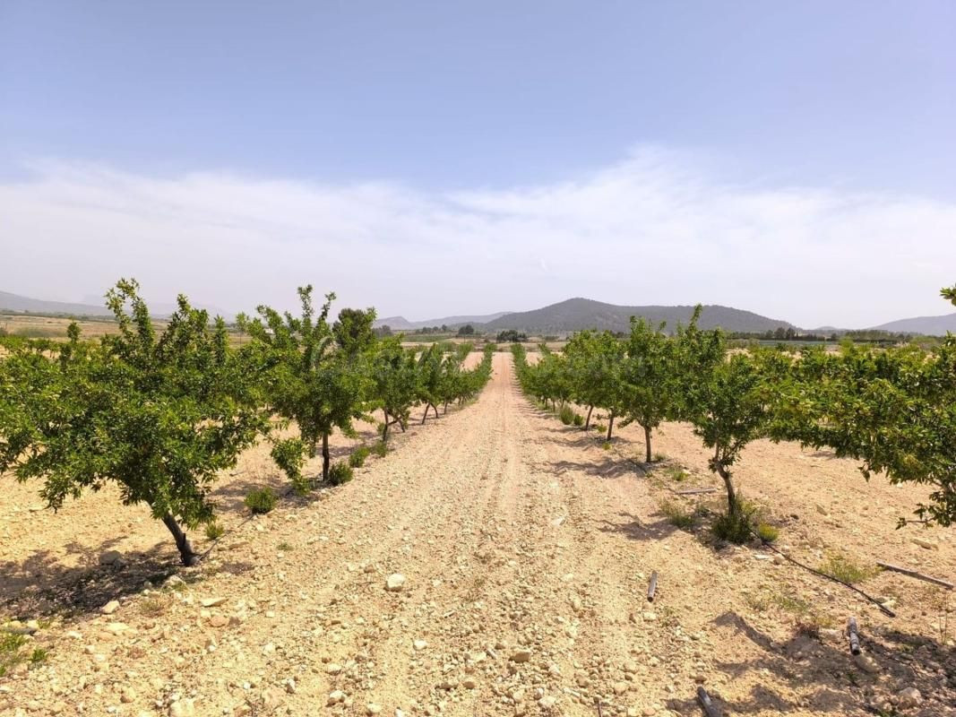 Parcela edificable Úbeda: 17.050 m² con huerto y vistas a la montaña