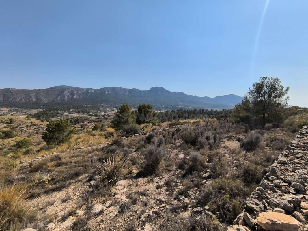 Parcela urbanizable de 33.000 m2 en La Romana, Alicante