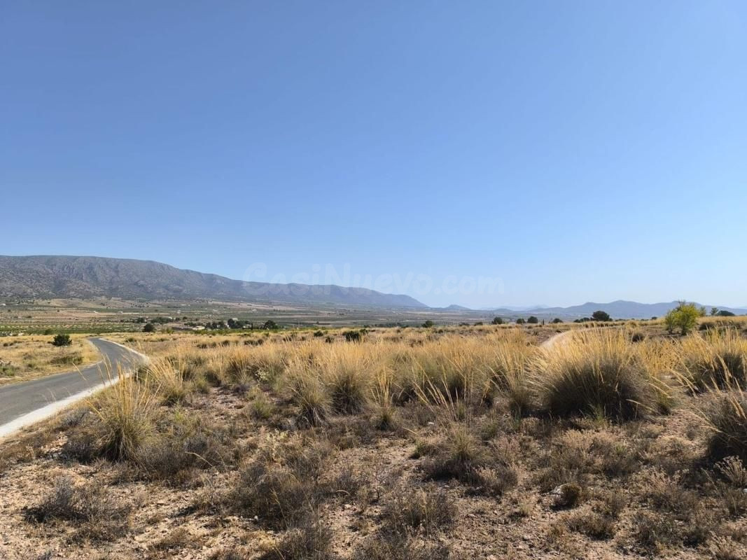 Parcela edificable de 23.472 m2 en Lel (Alicante) para construir villa rural