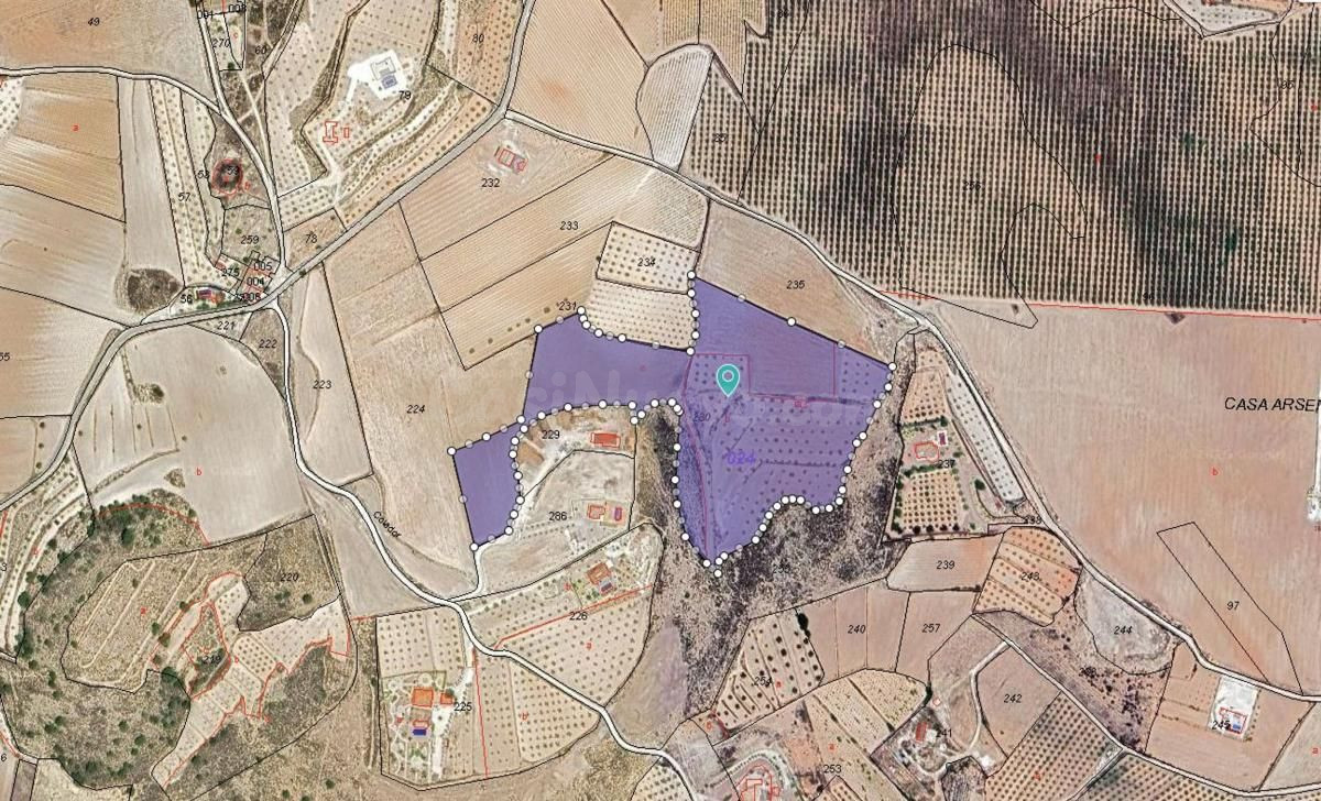 Parcela edificable de 46.696 m2 en Pinoso (Alicante) con viñedos