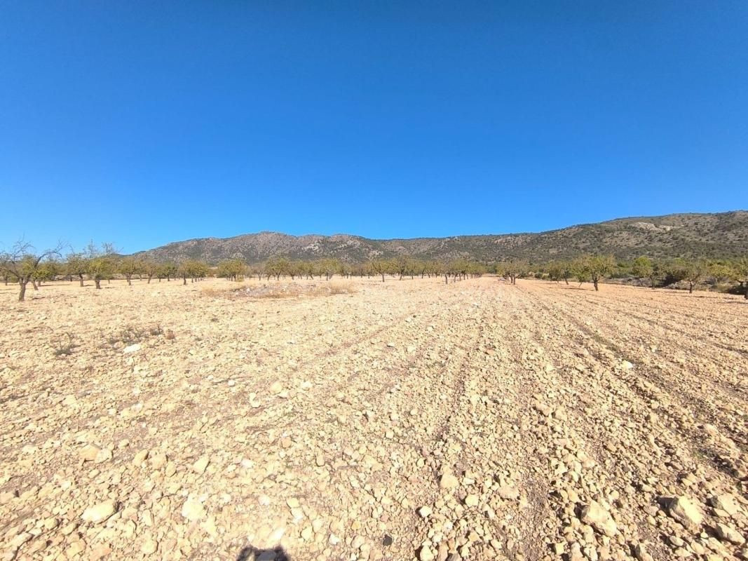 Terreno rural de 40.000 m² en Monóvar (Alicante) para construir
