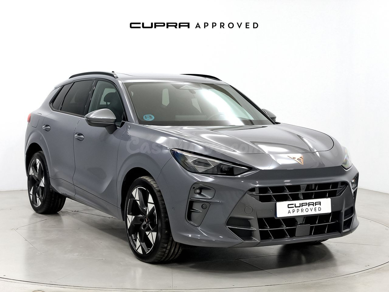 Cupra Terramar 2.0 TSI 195kW (265 CV) VZ DSG 4 Drive