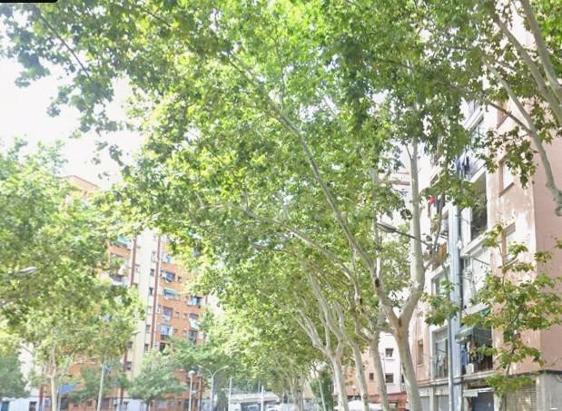 PISO EN BADALONA