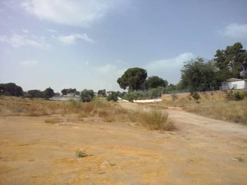 PARCELA EN VENTA EN ALCALÁ DE GUADAIRA - foto 3