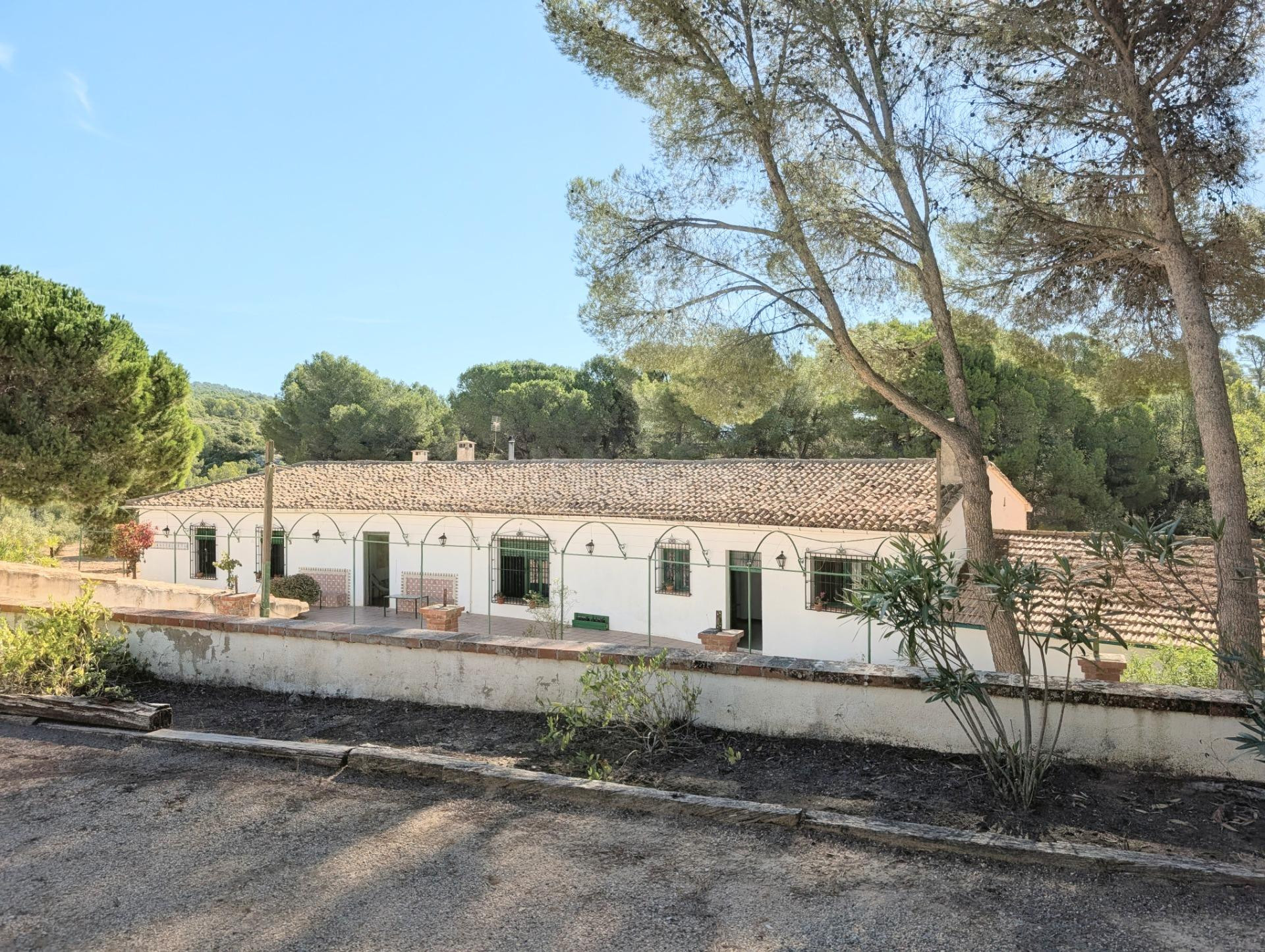 En venta singular finca rústica en la falda de Onil a tan so - foto 2
