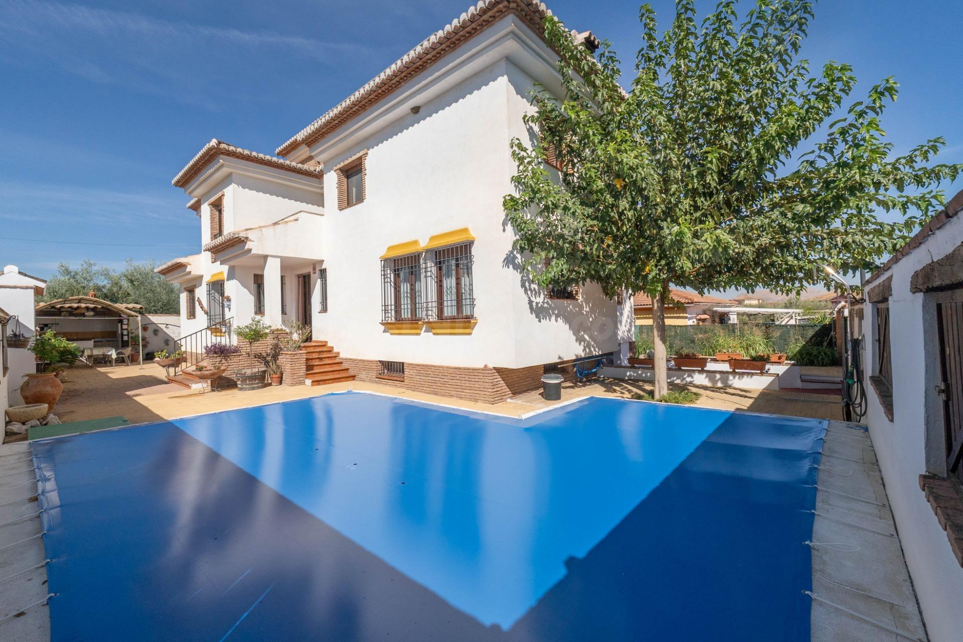 ¡¡ Impresionante chalet dividido en dos viviendas con piscina y zona ajardinadas !!