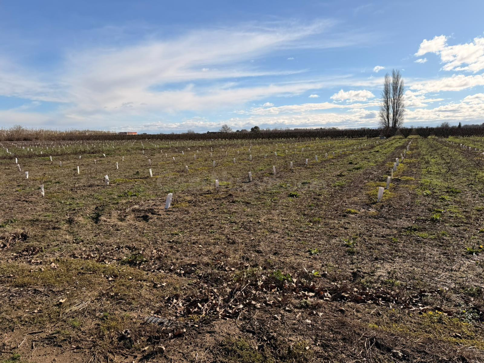 ¡OPORTUNIDAD DE INVERSIÓN! CORBINS - LLEIDA -