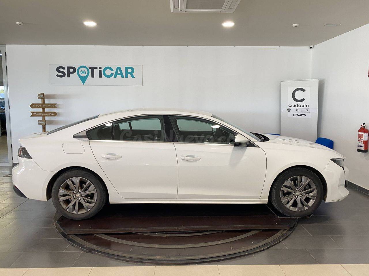 Peugeot 508 5P  Active BlueHDi 130 S&S 6v MAN Active - foto 2