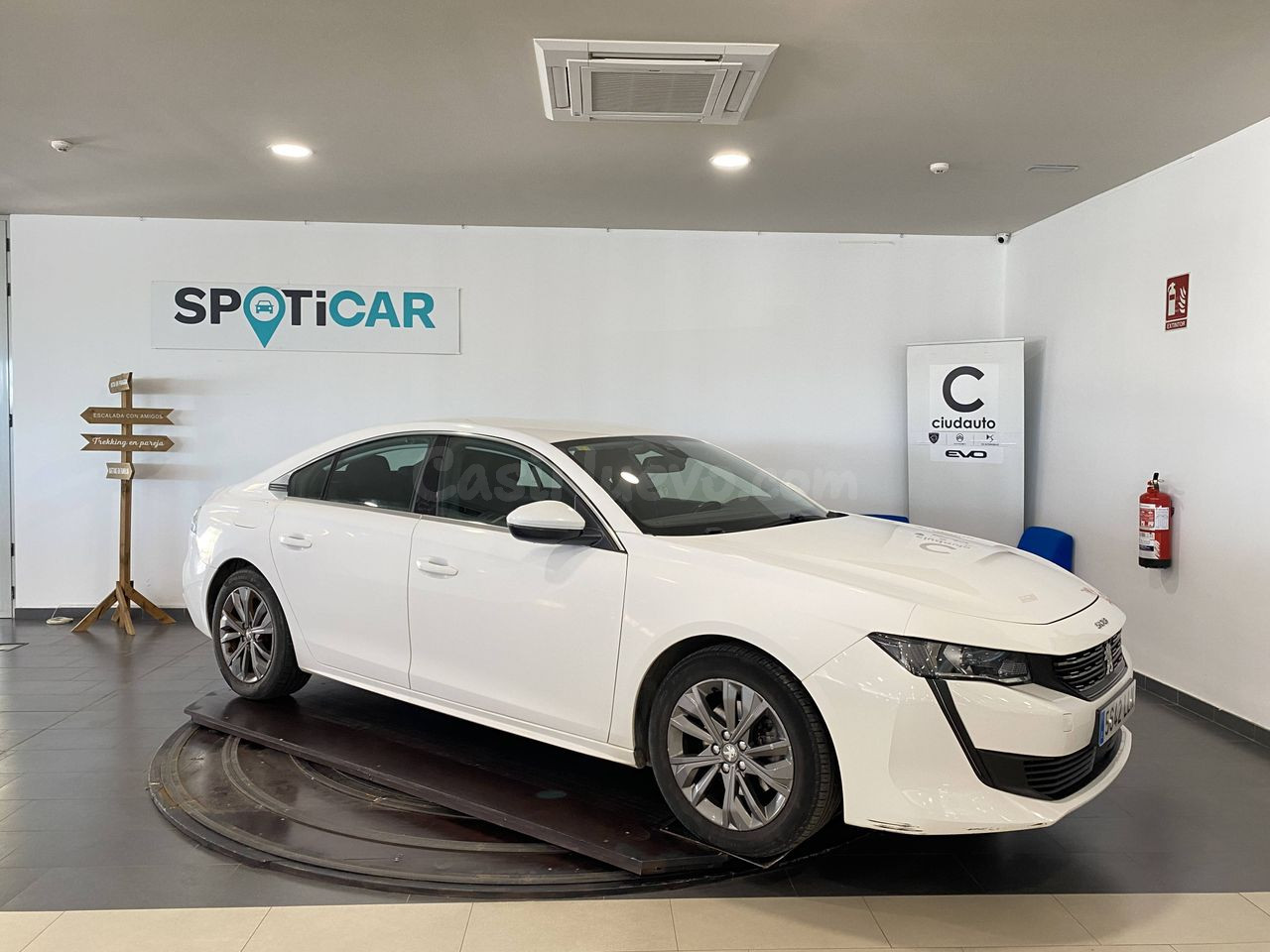 Peugeot 508 5P  Active BlueHDi 130 S&S 6v MAN Active - foto 3