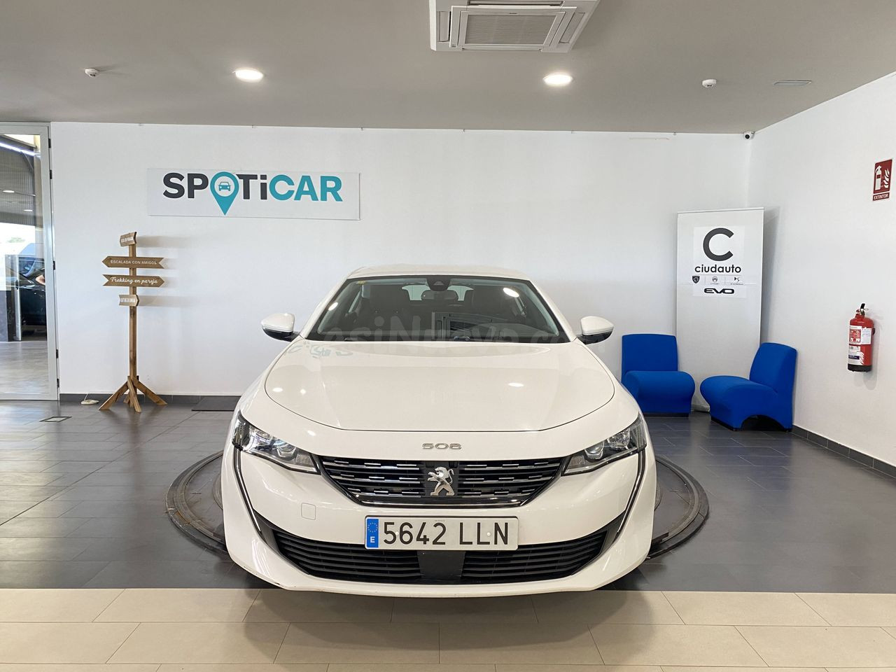 Peugeot 508 5P  Active BlueHDi 130 S&S 6v MAN Active - foto 4