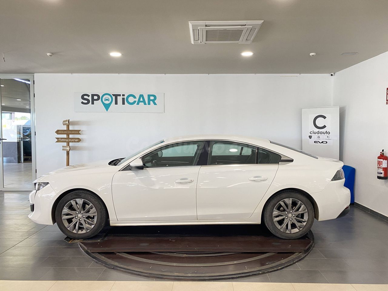 Peugeot 508 5P  Active BlueHDi 130 S&S 6v MAN Active - foto 5