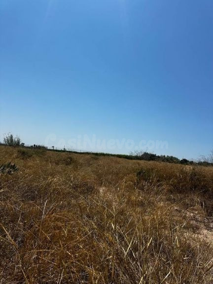 Parcela en venta - Carrus - foto 3