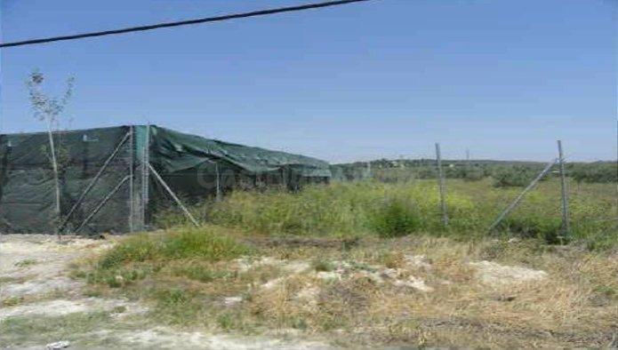 Venta de Suelo Urbano en Urbanización "El Campillo", Úbeda - - foto 3