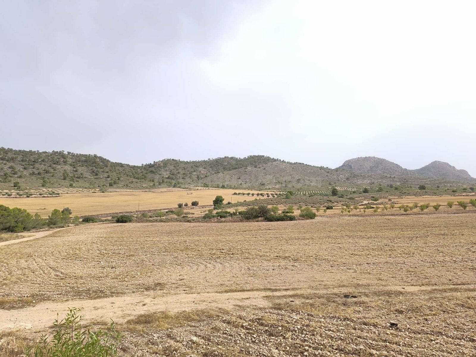 Parcela en venta - Ayuntamiento