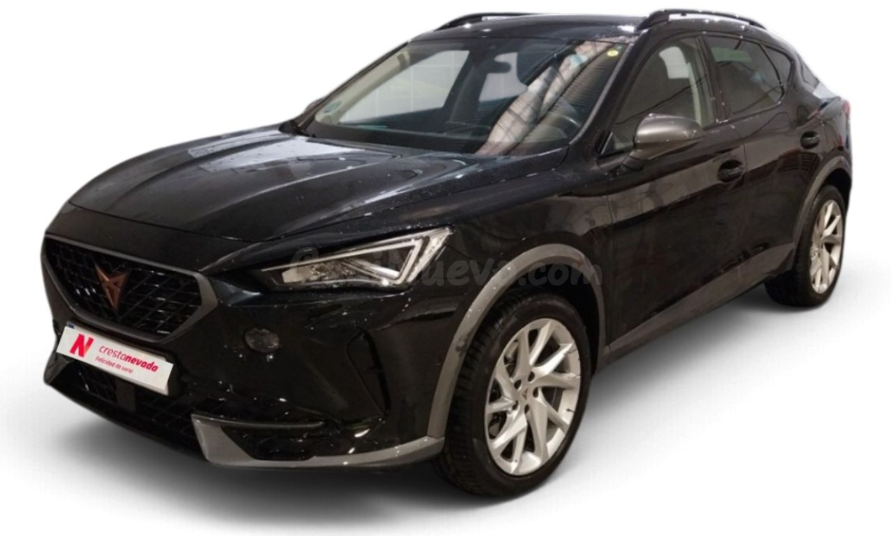 Cupra Formentor 2.0 TDI 110kW (150 CV)