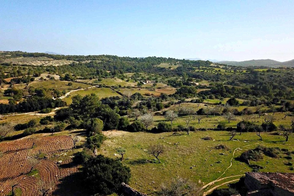 Casa de campo-Masía en Venta en Sant Llorenç Des Cardassar Baleares - foto 3