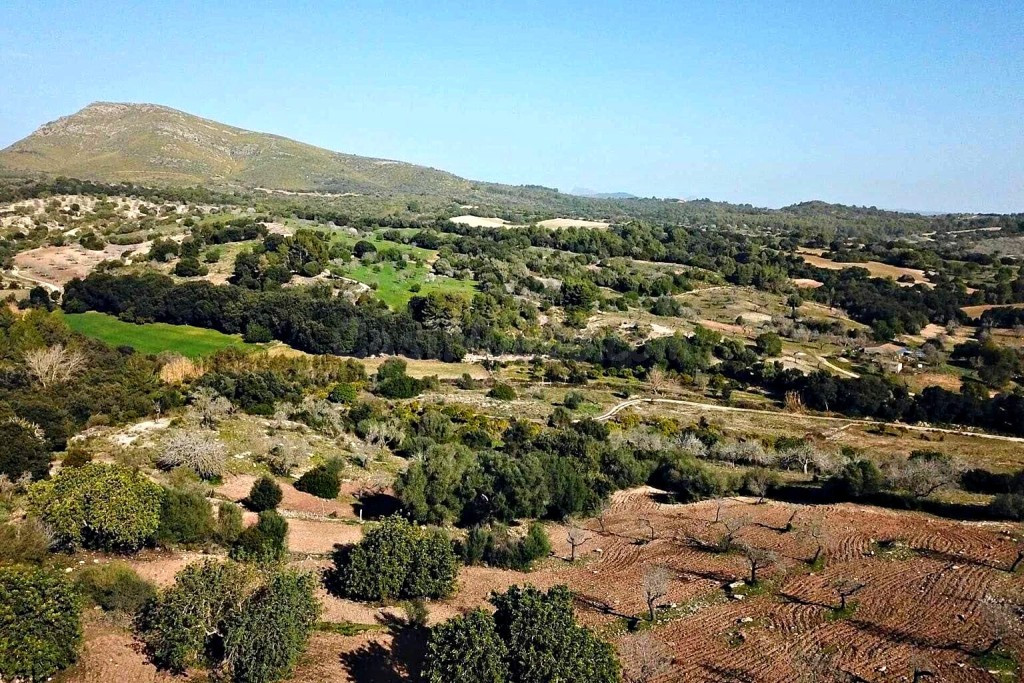 Casa de campo-Masía en Venta en Sant Llorenç Des Cardassar Baleares - foto 4