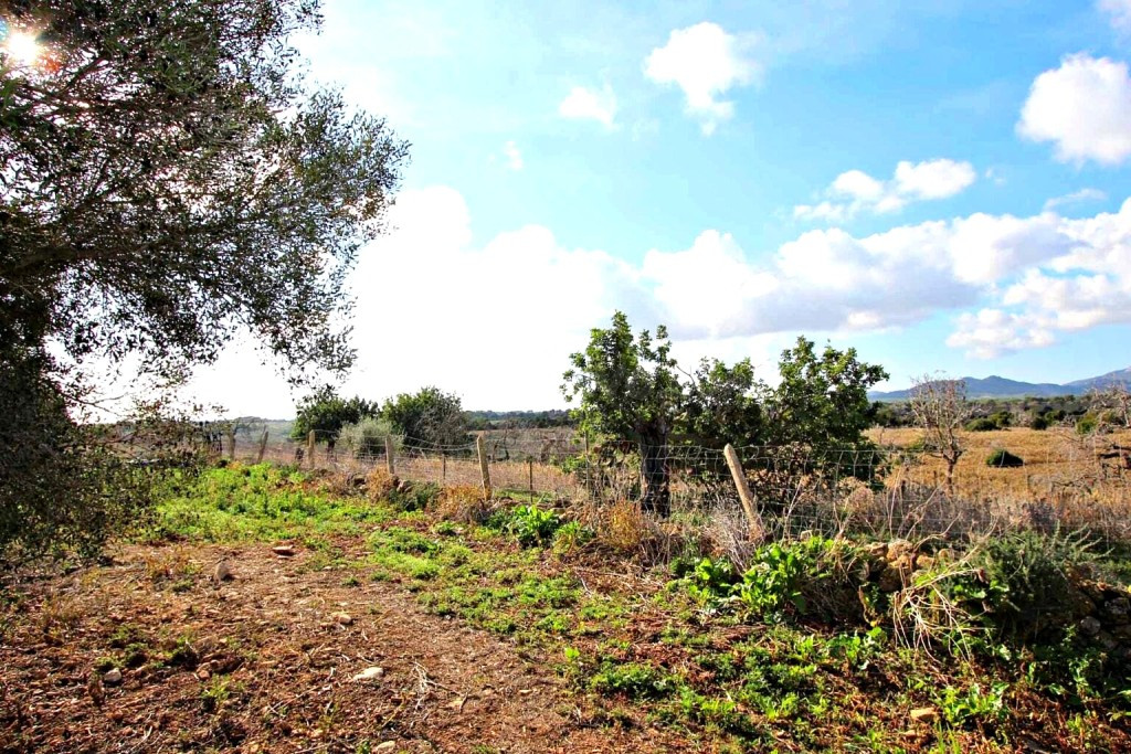 Casa de campo-Masía en Venta en Manacor Baleares - foto 3