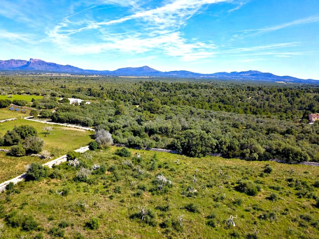 Solar residencial en Venta en Santa Margalida Baleares - foto 2
