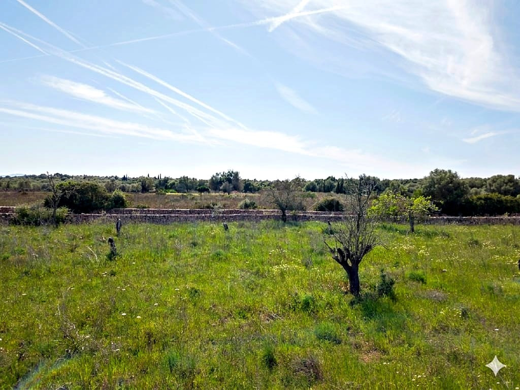 Solar residencial en Venta en Santa Margalida Baleares - foto 4