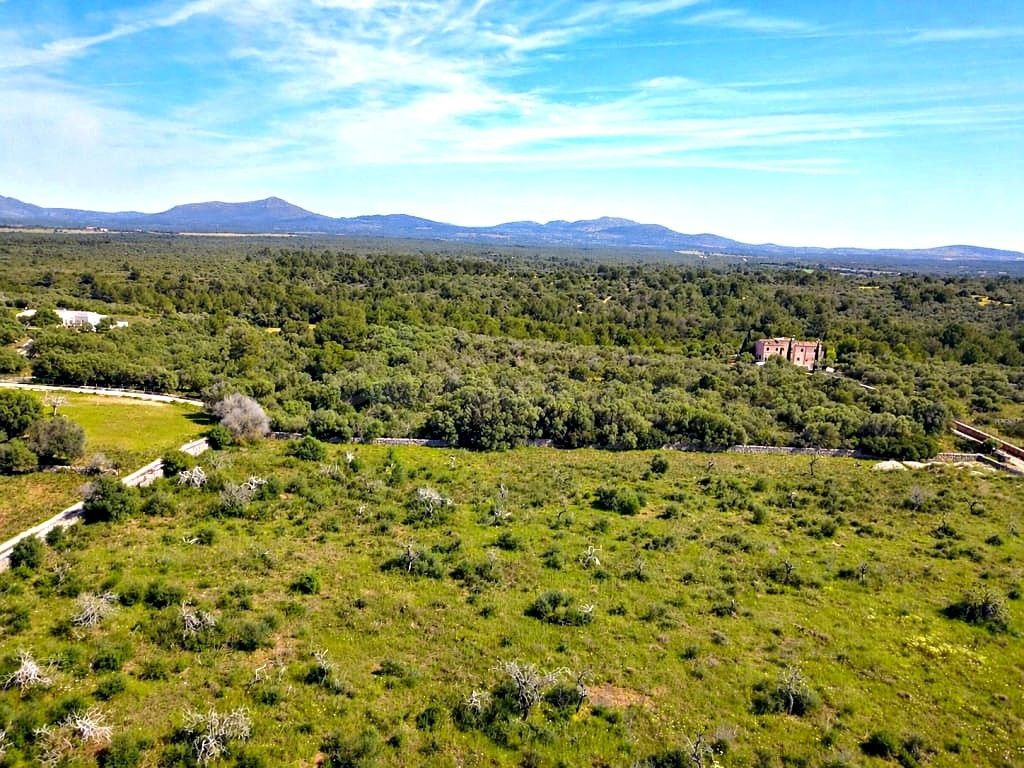 Solar residencial en Venta en Santa Margalida Baleares - foto 5