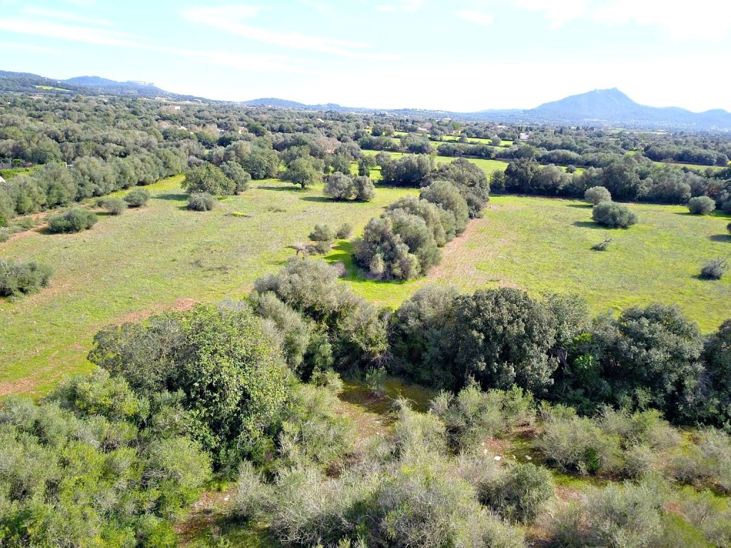 Solar residencial en Venta en Felanitx Baleares - foto 3