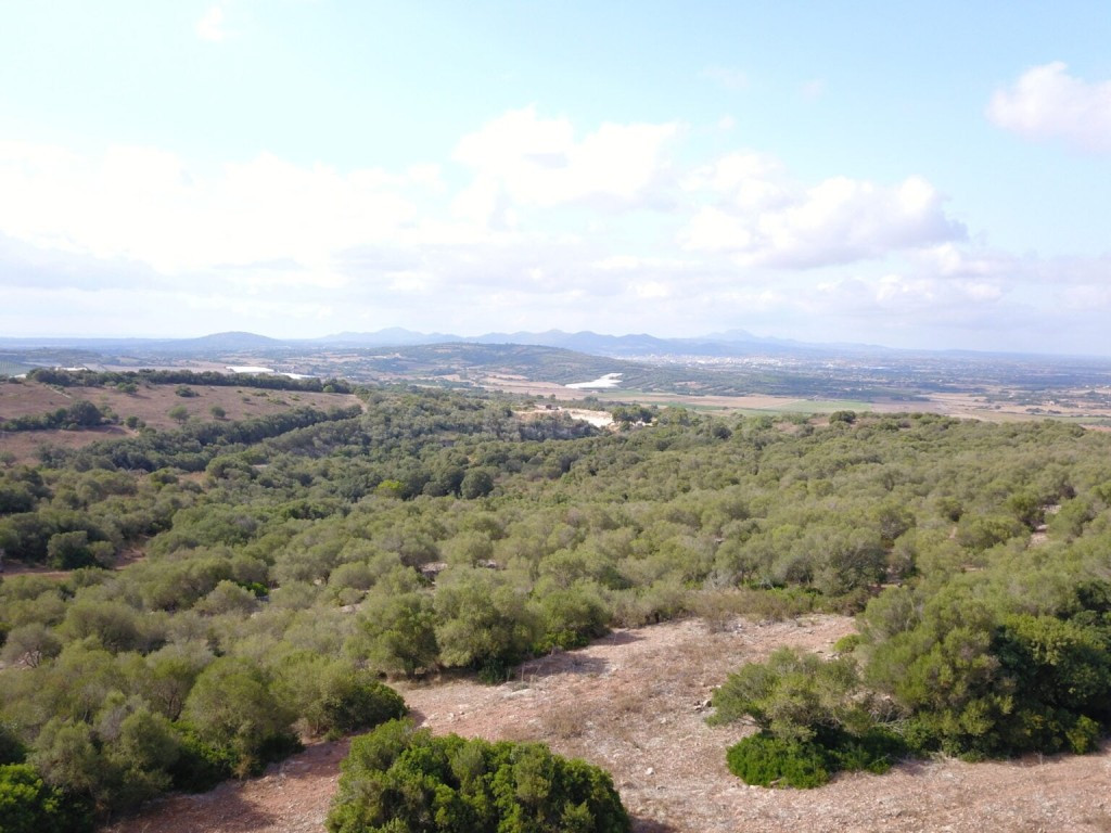 Solar residencial en Venta en Manacor Baleares - foto 5