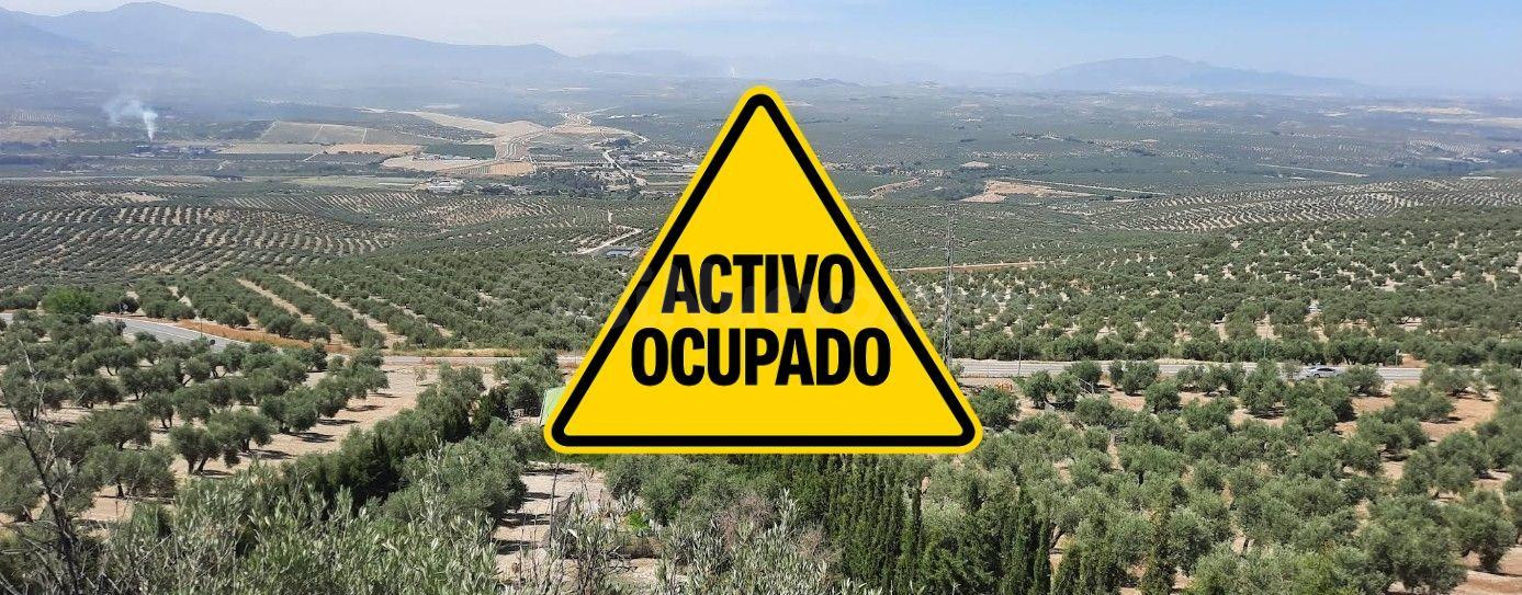 TERRENO EN BENJIMAR