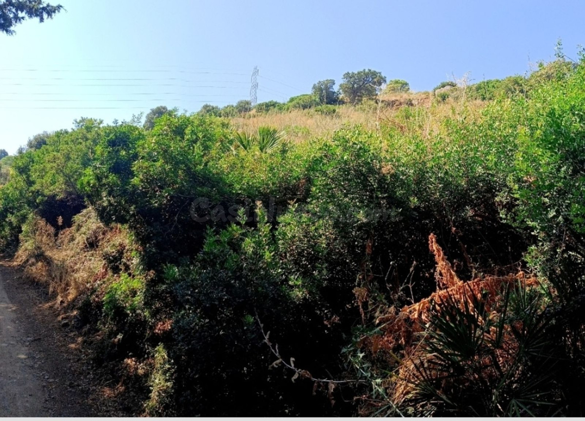 Parcela de 21.000 m2 en Estepona para proyectos únicos
