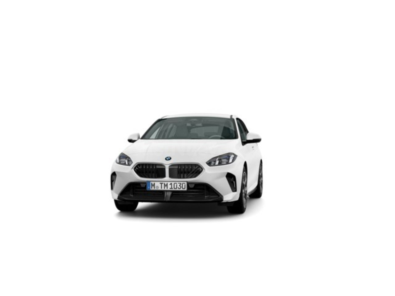 BMW Serie 1 120i 125 kw (170 cv)