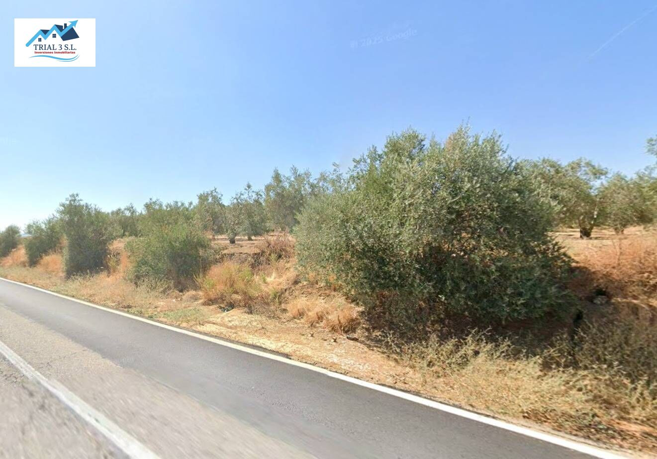 Venta de 8 terrenos en Marchena.