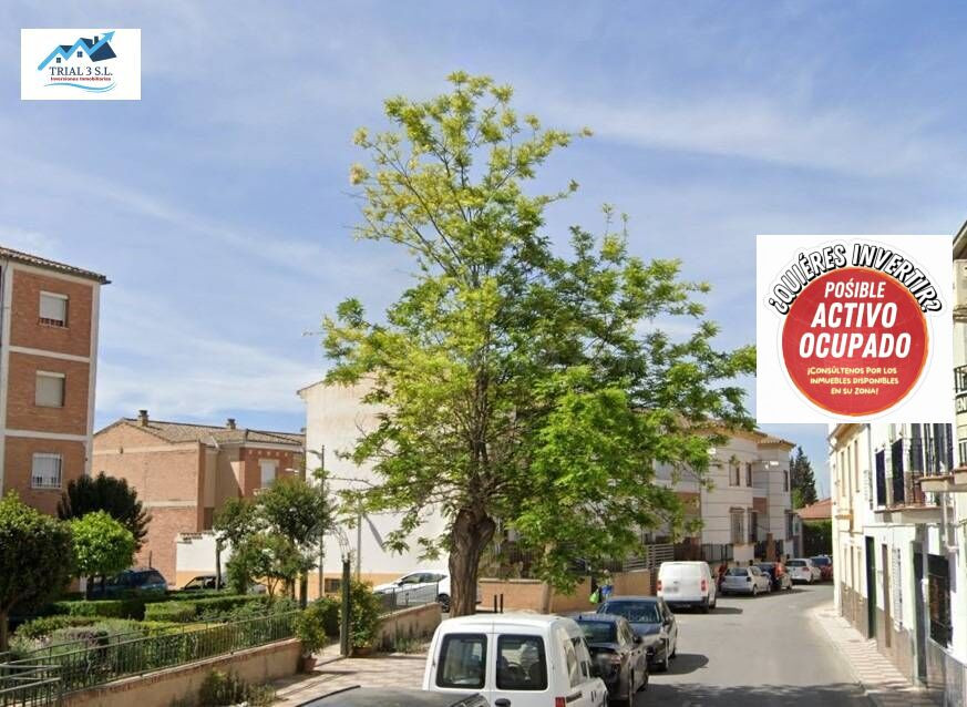 Venta Piso en Pinos Puente - Granada