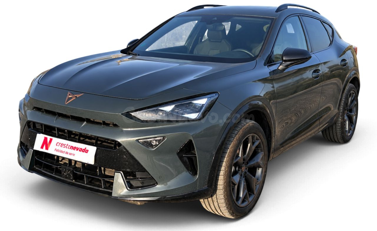 Cupra Formentor 2.0 TDI 110kW 150 CV DSG