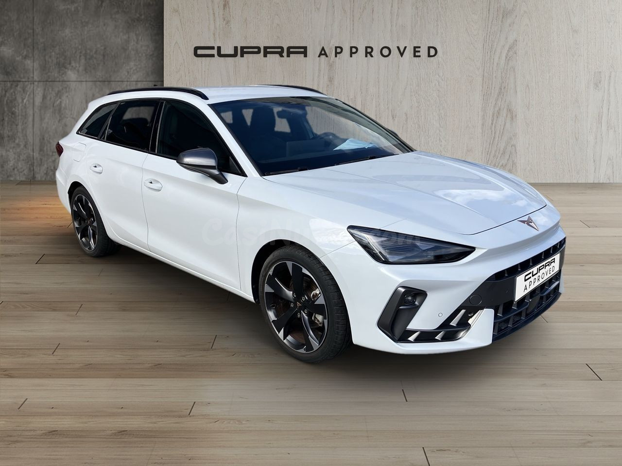 Cupra León 1.5 eTSI DSG 110 kW (150 CV)