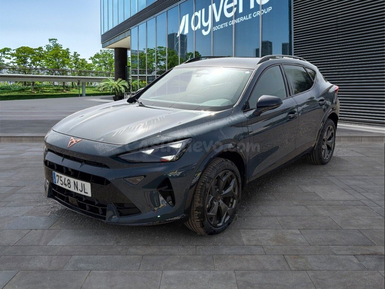 Cupra Formentor 1.5 Tsi 110kw (150 Cv)