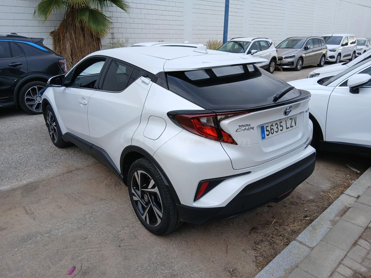 Toyota C-HR Híbrido 125 CV Vitoria-Gasteiz - foto 2