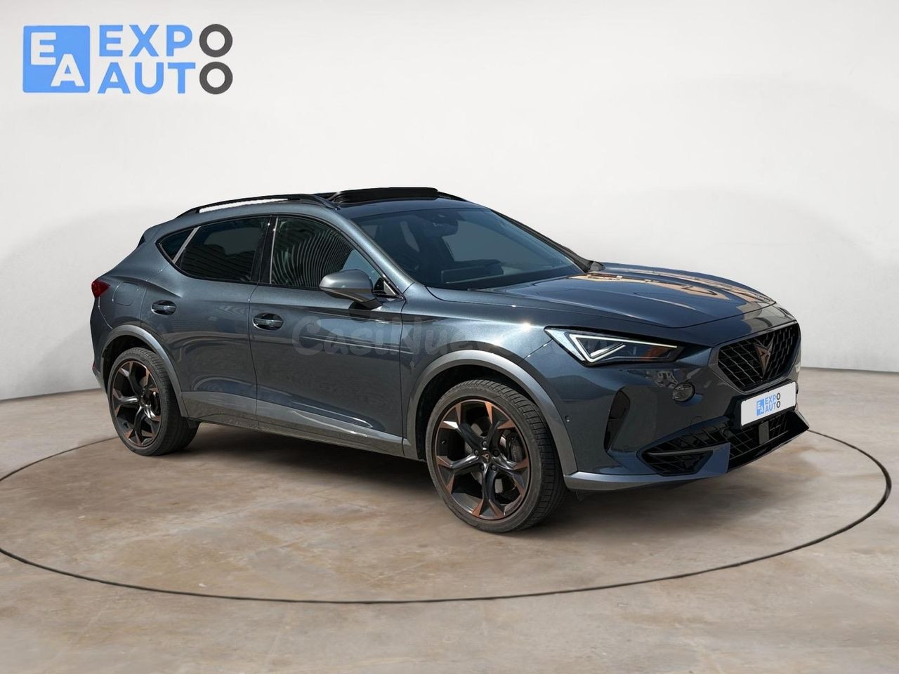 Cupra Formentor 2.0 TSI 228kW (310 CV) VZ 4Drive DSG